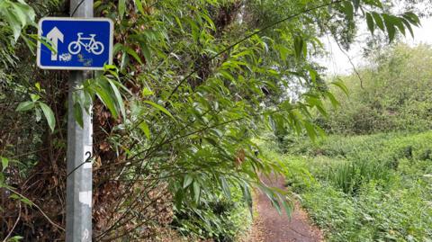 A pathway goes between two rows of hedges and bushes. In the foreground on the left there is a silver pole which has a blue rectangular sign attached to it. The sign has a white arrow on the left and a bicycle on the right.