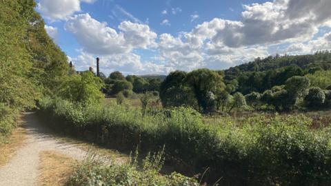 A light brown footpath running next to a green hedgerow with trees in the distance and a blue sky with white, fluffy clouds. 