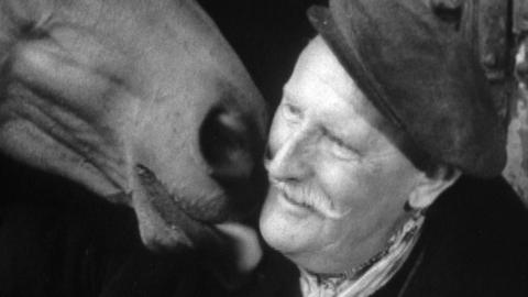 A horse licks horse breaker Jack Anderson