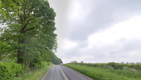 A country road with trees on one side and fields on the other