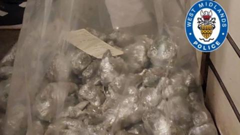 Bags full of cannabis are piled up in a cardboard box.