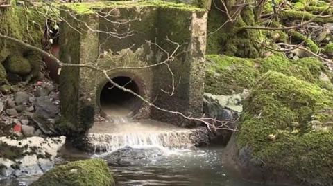 A waste treatment pipe that has water rushing out of it. There is a lot of moss growing on the rocks and cement surrounding it.