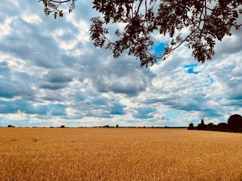 Bardwell, Suffolk