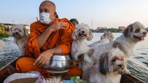 Luang Por Chamnan, abbot of Wat Chin Wararam, rides on a boat with a pack of temple dogs during his morning alms routine on the Chao Phraya River, in Pathum Thani