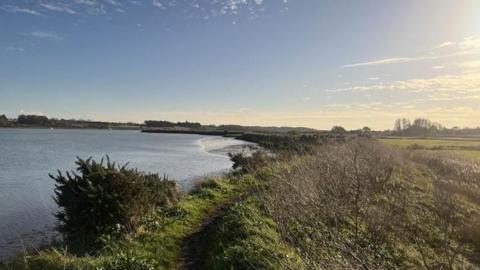 Grazing marsh and mudflats on the Deben estuary near Martlesham Creek