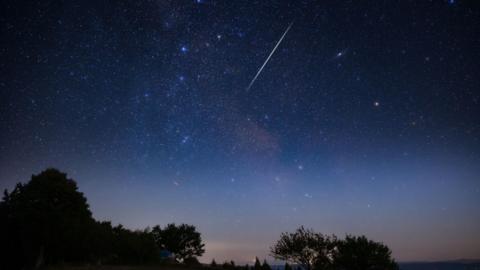 Blue night sky with Milky Way stars with Orionids meteor shower trails and countryside tree silhouettes