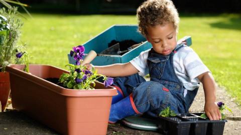 A child gardening 