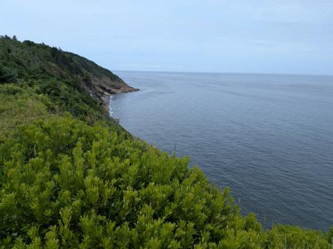 Allt MhicFhionghain