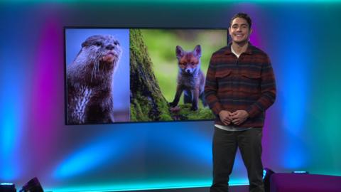 Newsround presenter Otis smiling next to a picture of an otter and fox