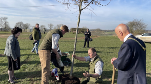 People surrounding tree sapling as it is planted