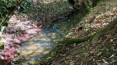 Low water levels near red river bank and leaves.