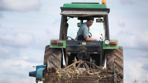 A man in a green checked shirt looks over his shoulder while driving a green tractor through a field