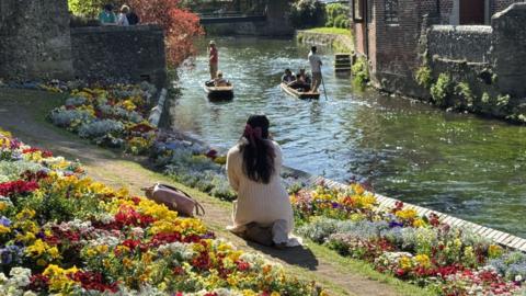 A woman wearing a white dress crouches in the flower bed at Westgate Gardens in Canterbury.