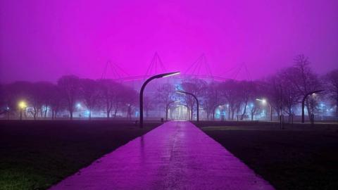 Deep pink sky with the top of a stadium in the middle, several trees in front of it and a long path and street lamps next to grass verge. It's nighttime.