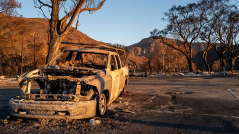 A burnt out car in front of a scene of devastation including burnt trees, with mountains in the background