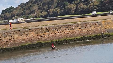 A emergency rescue volunteer with red and yellow water rescue kit stands in the harbour with water to their waste holding the swan. Another volunteer in similar kit is standing on the harbour wall looking down. There is also a bystander on the rocks in shallow water watching the scene.