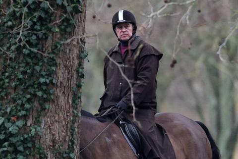 Andrew Mountbatten-Windsor on horseback in woodland.