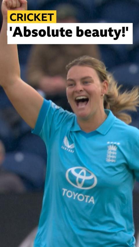 Dani Gibson