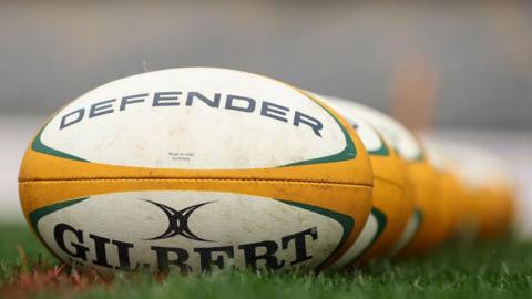 Yellow and green rugby balls lined up on the grass