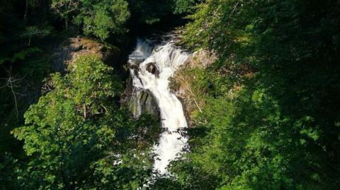 A waterfall through trees