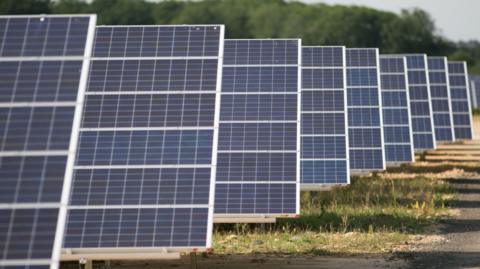 The photo shows an array of blue solar panels stacked upright in rows, cascading.