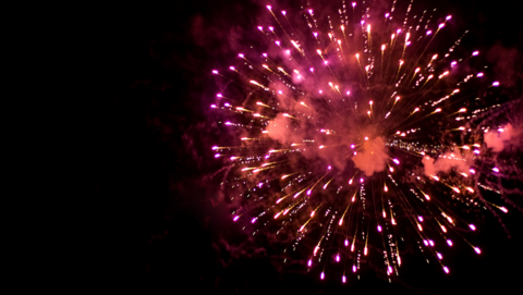 A firework in the sky, showing a black sky, and pink firework explosion.