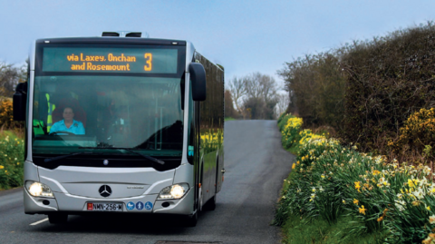 A single decker bus on a country road with daffodils in the hedgerows at either side.