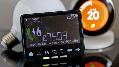 A smart energy meter, used to monitor gas and electricity use, is pictured with a smart thermostat in a home in London, Britain, 23 February 2024