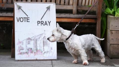 A white dog bows its head while on a lead by a sign with two arrows saying 'vote' and 'pray' in Inverleith, Edinburgh.