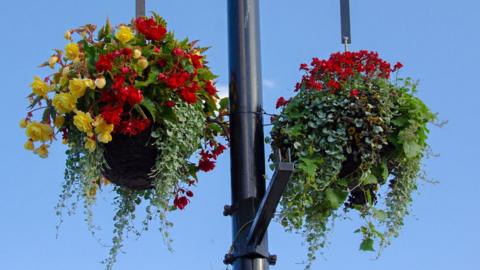 Hanging baskets