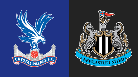 Crystal Palace v Newcastle graphic