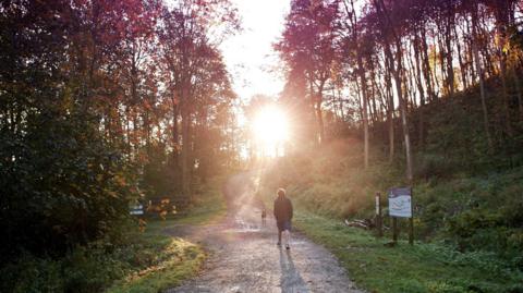 A general view of a gravel path at Guisborough forest. A man is walking up the path, away from the camera and the low sunlight is casting a long shadow behind him. The path is flanked by trees and grass on both sides.