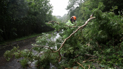 A man in a hi vis vest and orange hat stands behind a fallen tree on a road.