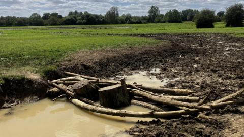 Logs and sticks placed over a very muddy breach of the River Stour so that walkers can cross, with green riverbank stretching behind.