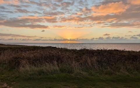 The sunrise, behind wispy clouds, casts a golden glow against a pale blue sky, above the sea in Weymouth Bay. in the foreground is brown vegetation and green grass.