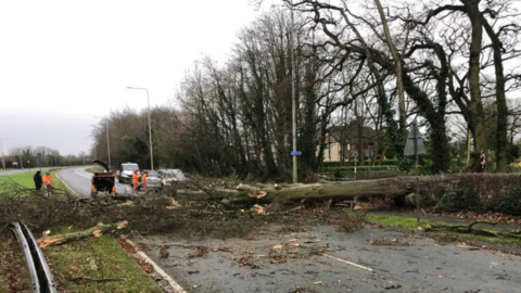 The man died when a tree fell across the A59 in Longton, Lancashire