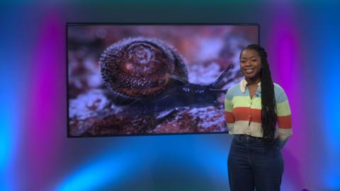 Emma-Louise on the Newsround set