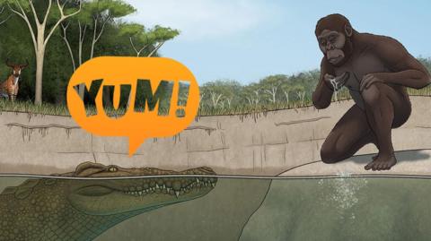 crocodile looking at hominid with a speach bubble saying "yum"
