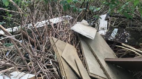 Waste left on the overgrown land