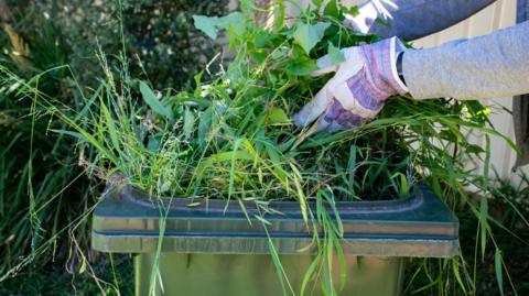 A green waste bin with plants and grass being loaded by a person wearing gardening gloves