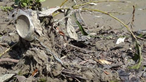 A close up of a congealed, brown, mucky waste consisting of wet wipes and plastics amongst some green branches. 