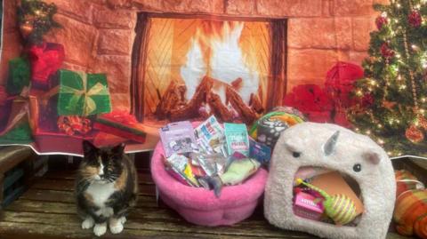 A brown, white and ginger cat sat in front of a fake Christmas fire scene alongside a pink cat basket filled with toys and treats and a white cat basket fillled with toys