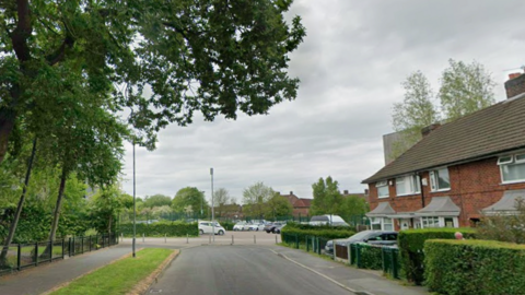 A screenshot from Google street view of a residential street with houses on one side and a park on the other. 