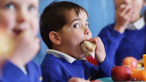 school meals