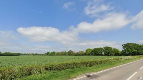 A field alongside a road is edged with hedges and trees