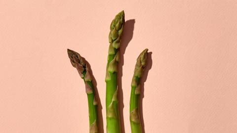 Three asparagus spear tips on a pink background