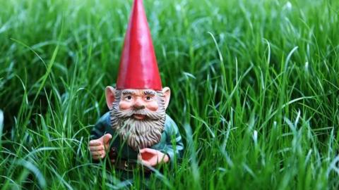 A garden gnome with a red hat in some grass. 