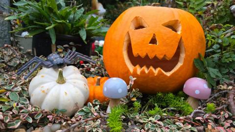 A pumpkin carved with a face is sitting on the ground next to two smaller, uncarved squashes, two wooden toadstools and a toy spider.