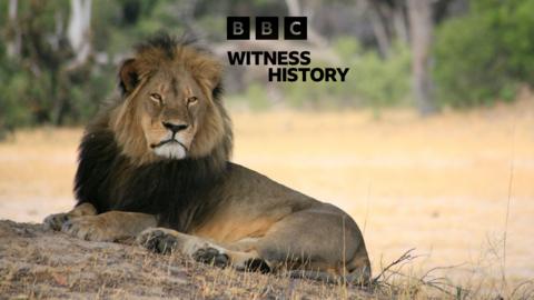 Witness History