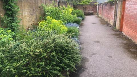 The passage with new plants